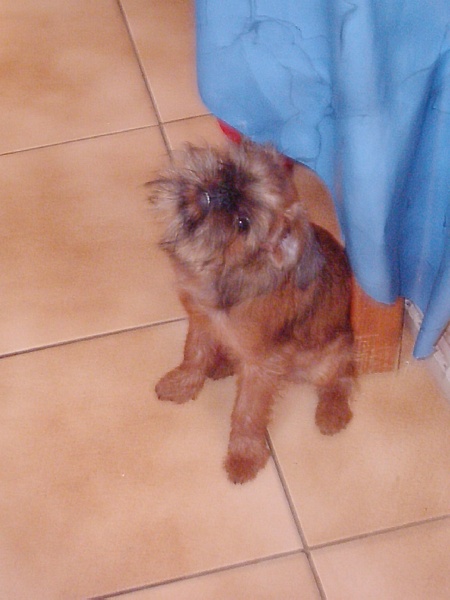 Voila-mireille (dite mimi) De grand vallon